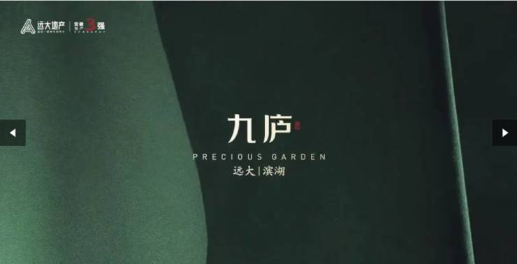 -合肥楼盘-新楼盘房价瓦力棋牌合肥远大九庐(图5)